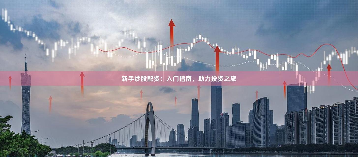 新手炒股配资：入门指南，助力投资之旅