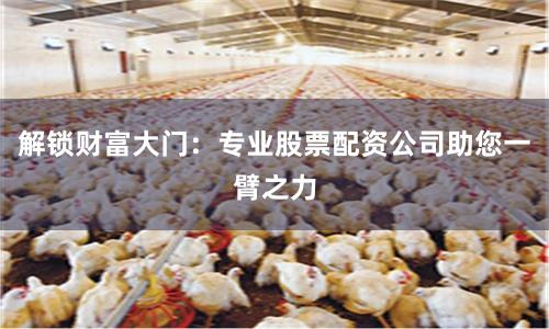 解锁财富大门：专业股票配资公司助您一臂之力
